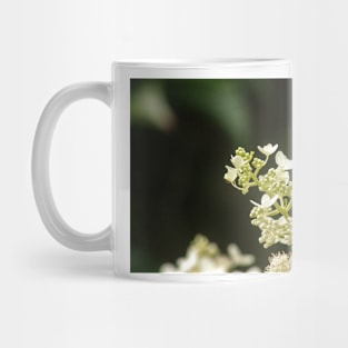 White Flowers of Summer Mug